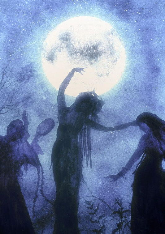 What Does a Black Rose Mean? Reclaiming the Magic of Dark Feminine Energy
