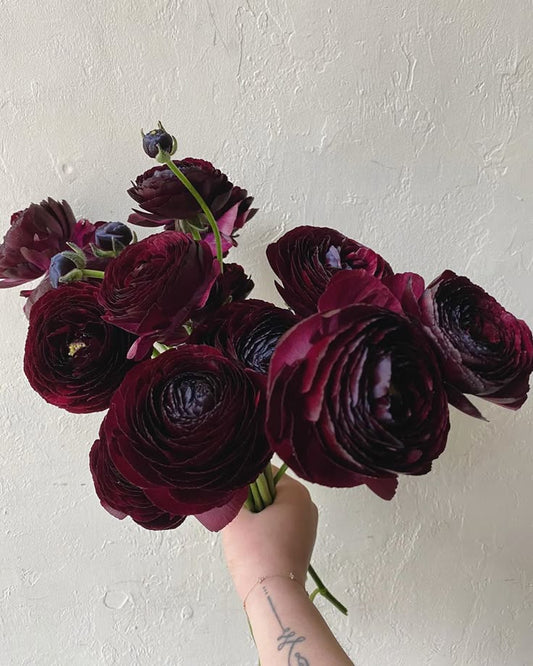 Are Black Roses Real?