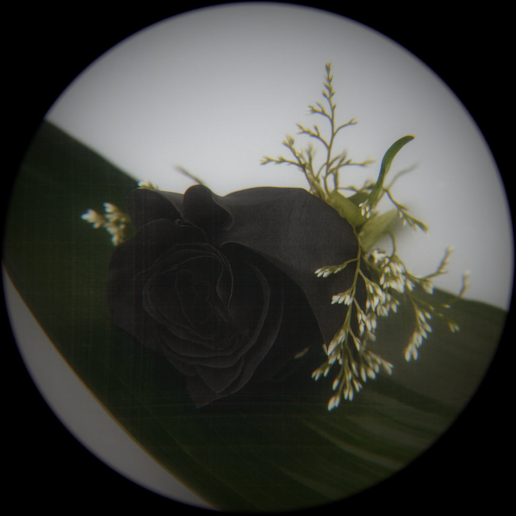 MIDNIGHT ROSE BOUTONNIERE