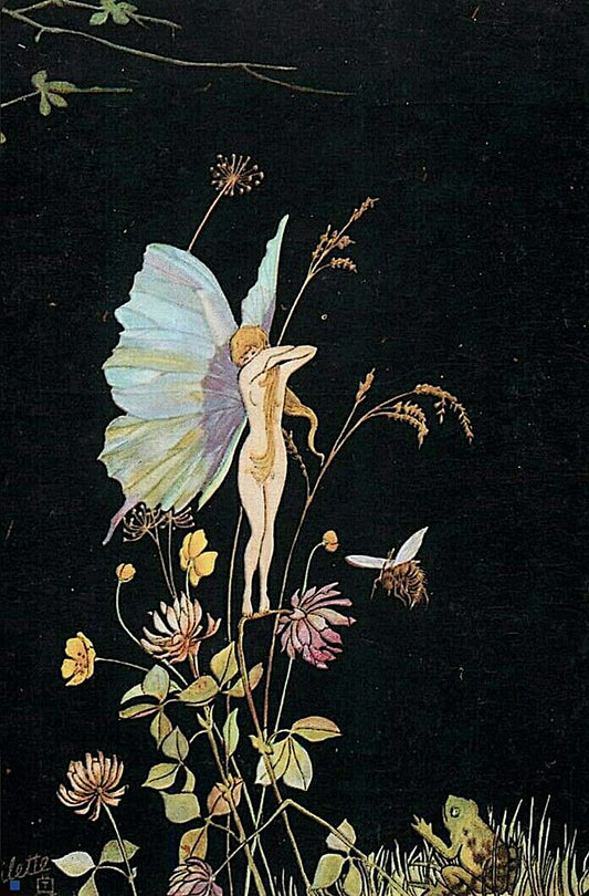 July Birth Flower: Larkspur and Water Lily