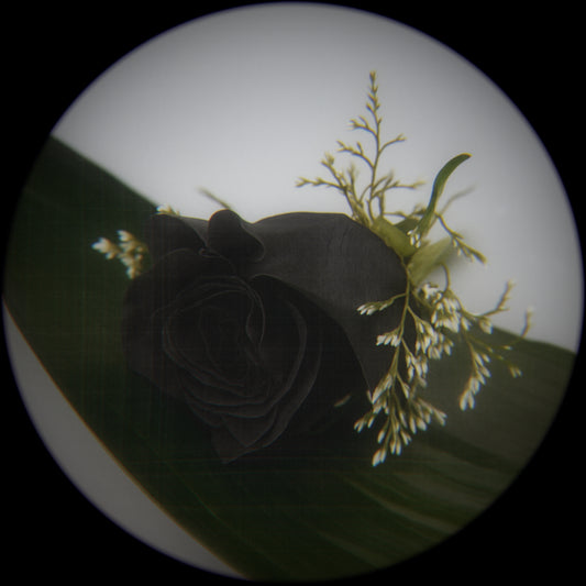MIDNIGHT ROSE BOUTONNIERE